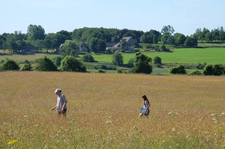 Two people walking through a wildflower meadow in the Cotswolds