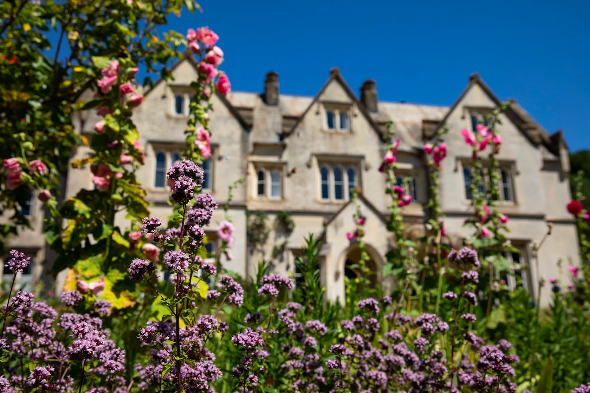 Hawkwood House viewed through the gardens