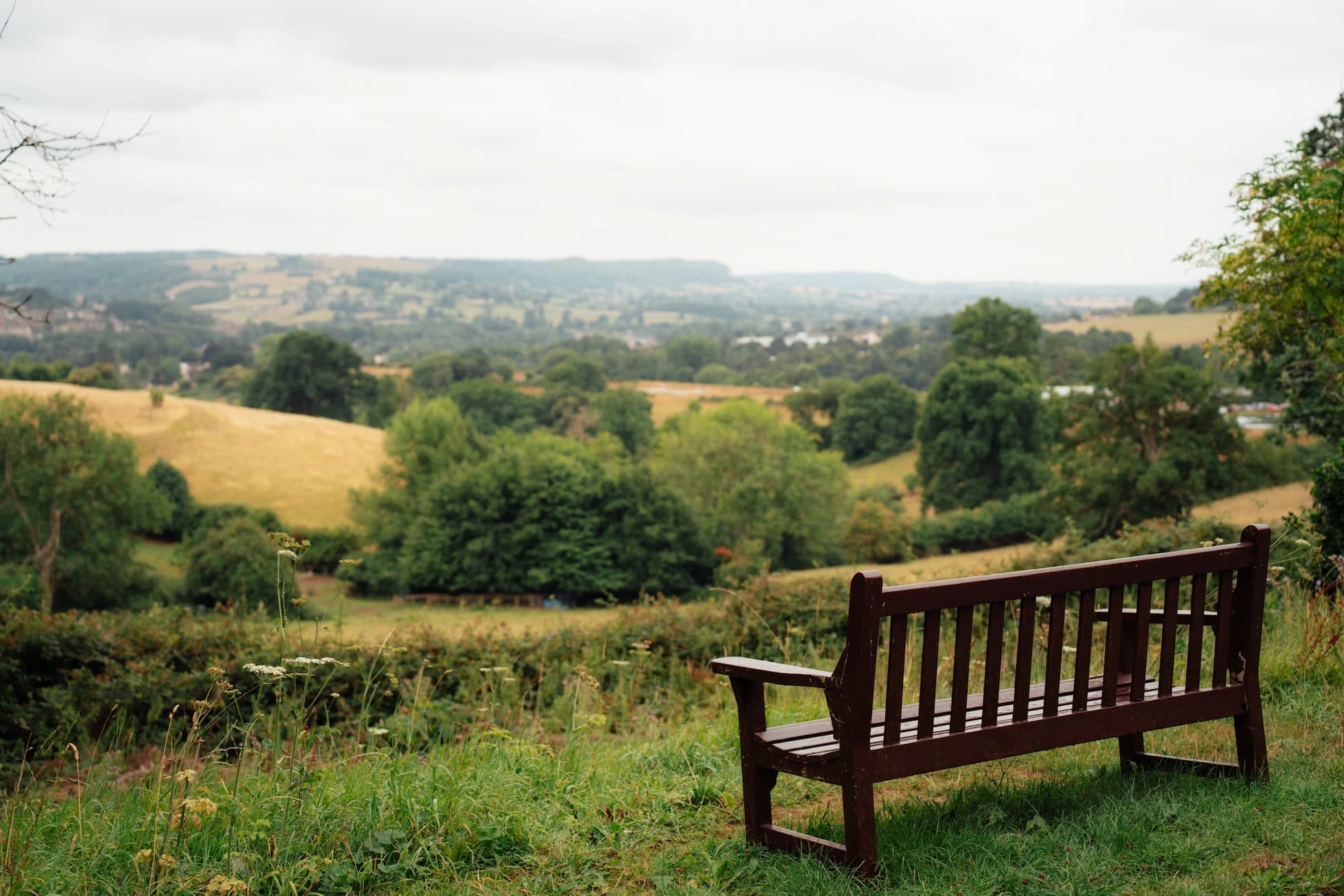 Person reflecting by a window overlooking a valley at Hawkwood